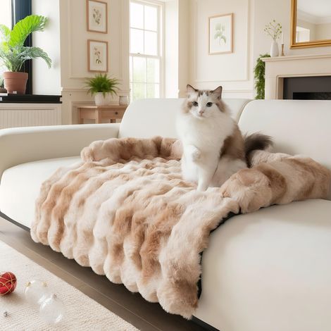 Coussins de canapé en Peluche épaisse Lapin pour canapé, Tapis de lit pour Chien, Couverture de canapé Lavable en Peluche pour Chien, protège-Meubles Tapis de canapé pour Chiens et Chats (1/5)