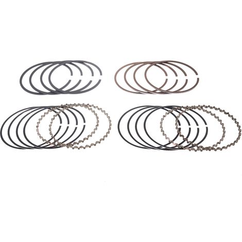FASCE ELASTICHE GAZ VOLGA (3102) (1/2)
