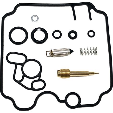 Repair kit for 2 carburetor carbon repair kits designed for 600750900 F66 (1/4)