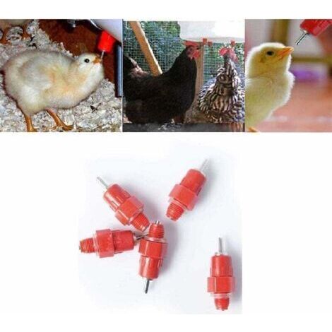 5 Pcs Eau Tétine Abreuvoir Poulet Mangeoire Volaille Fournitures Poule Vis dans Le Style (1/3)