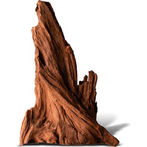 Radici di legno di deriva naturale S 20CM per acquario d'acqua dolce (1/5)