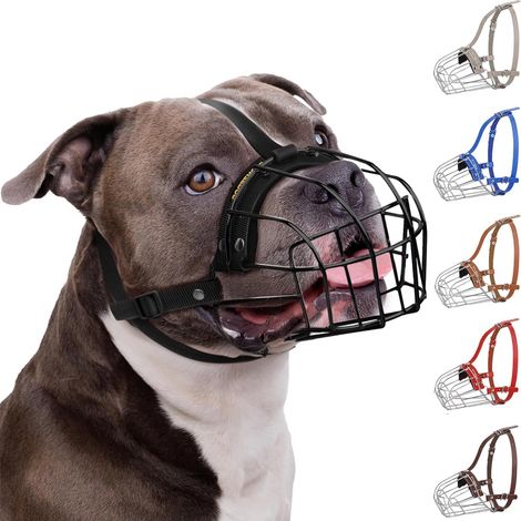 Muselière pour Chien Pitbull – Panier métallique Respirant pour Grands Chiens comme l’Amstaff, avec Sangles en Nylon – Contre morsures, mâchonnement et aboiements (1/5)