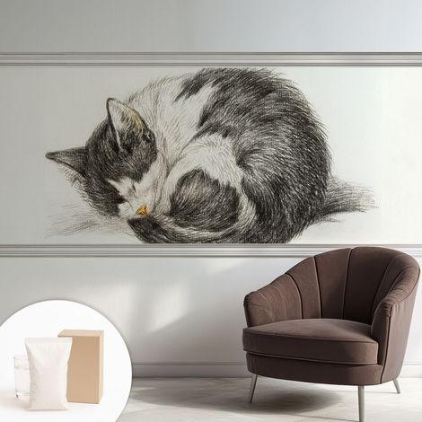 Papier peint décoratif avec colle pour salon, chambre à coucher et bureau – Design moderne et facile à poser Charmant chaton 250x104 cm (1/5)