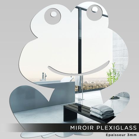 Miroir Plexiglass - Grenouille - 30x34 cm (1/2)