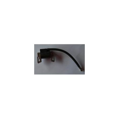 Bobine d'allumage Briggs & Stratton 797040 Bobine d'allumage haute tension Pack allumeur - Crezuo