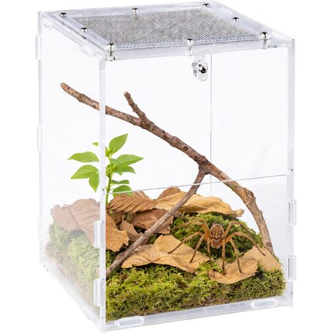 Terrarium acrylique Repti-Zoo PACR85 - Terrarium acrylique 15 x 16 x 20 cm (1/5)