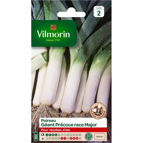 Vilmorin Poireau Géant Précoce race Major (1/4)
