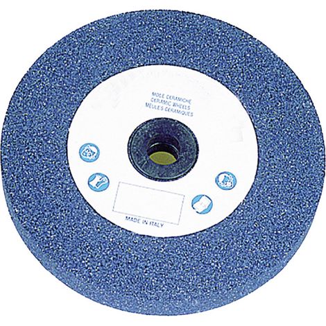 1PZ MOLA ABRASIVA ø 200 x 20 F. 20 gr.24