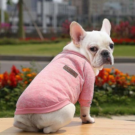 Neue Hundekleidung für kleine Hunde, weicher Hundepullover, Winterkleidung für Chihuahuas, klassisches Haustieroutfit mit Accessoires, rosa (1/4)