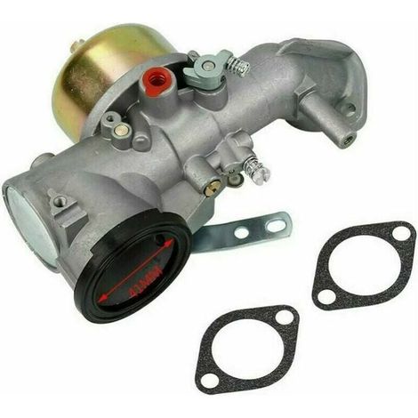 Carburateur pour moteurs Briggs & Stratton 12CV – Performance optimisée – Inclus joints et kit nettoyage – Modèles compatibles 491026/281707/491031 (1/5)