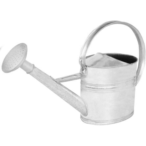 Arrosoir Plante Interieur - 8 L - Arrosoir Jardin - avec Pomme Amovible - Argenté - pour Terrasse - Balcon-NANOTEH (1/5)