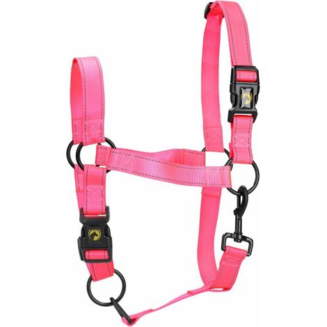 Halfter excellent premium halter Nylon verstellbar Schnellverschluss