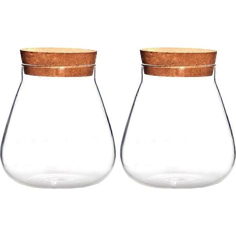Lot de 2 vases créatifs miniatures, bols à bulles transparents, flacons nourrissants pour plantes (1/5)