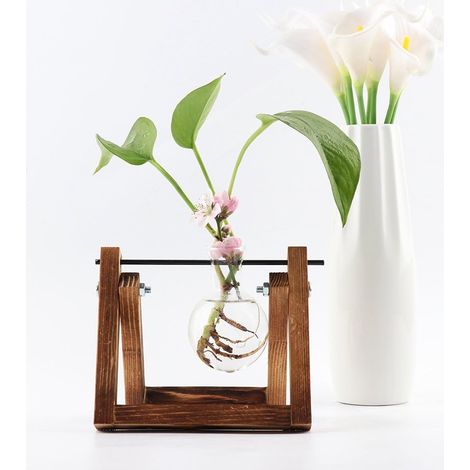 Wooden Display Frame, Glass Terrarium Vase with Iron Stand, High Borosilicate Glass for Home Office Decoration (1/5)