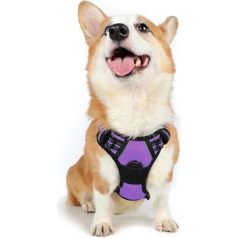 Harnais Chien M Arnais Violet Anti Traction Réfléchissant Gilet Réglable pour Chien Grand Taille, Attache Devant Crochet de Laisse pour Randonné Trajet Voiture, American Staff, Border Collie-Ensoleill (1/5)