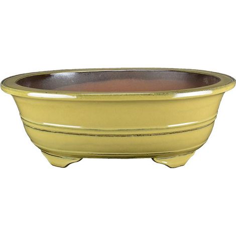 Vaso per bonsai ovale in gres smaltato giallo senape 51x39,5x16 cm - J046a