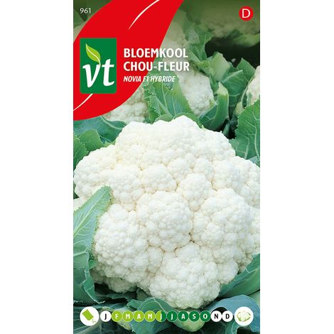 Chou-Fleur Siria F1 Hybride - Ca. 0,3 gr (Livraison Gratuite) (1/2)