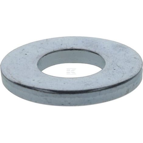 Rondelle BRIGGS & STRATTON 84005965