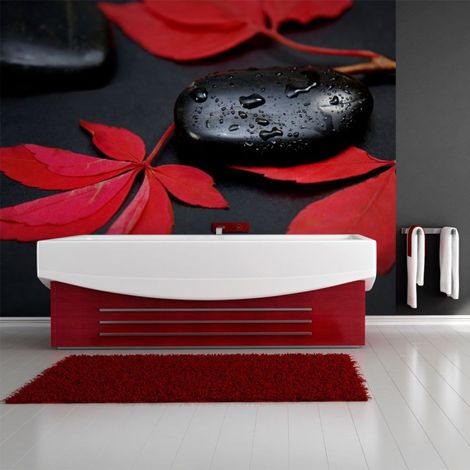 Papier Peint "Intensité du Rouge : Zen" 231 x 300 cm (1/2)