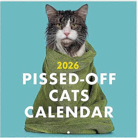 Calendrier des chats en colère 2026 - Calendrier mural humoristique et créatif - Calendrier de 12 mois avec un chat moche pour prendre des notes (1/5)