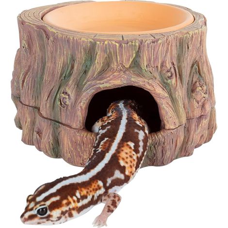 Höhlen & Verstecke pour Reptilien & Amphibien (1/5)
