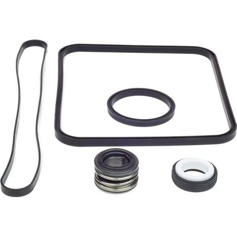 Ersatzdichtung für die Superpumpe des Hayward Go Kits, kompatibel mit den Modellen SP1600, SP2600 Regular, X, VSP, SPX1600TRA, SP1600Z2, PS-201, SPX1600R, SPX1600S und SPX1600T (Schwimmbad).