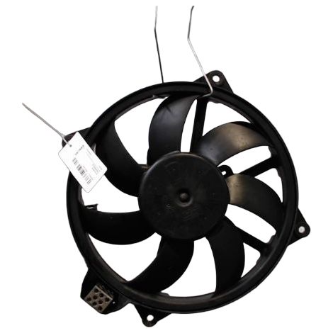 Moteur Ventilateur Radiateur RENAULT Megane III 2008- [PRODUIT D'OCCASION]♻️214810898r (1/3)