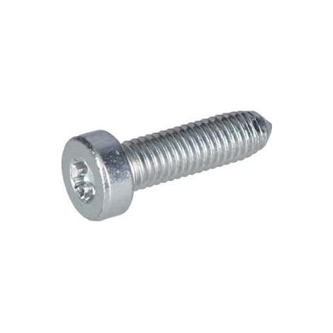 Vis autotaradeuse pour Marteau perforateur BOSCH OUTILLAGES - 1613490013
