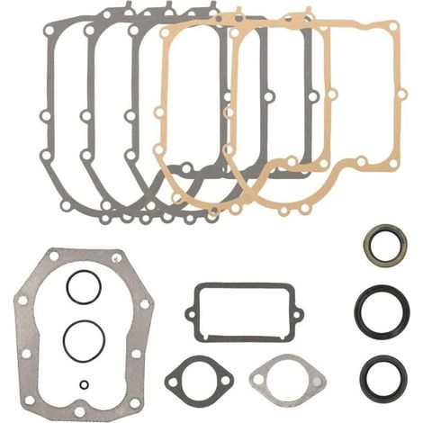 Motordichtungssatz für Briggs 28M707 Vergaserdichtung 28D707 286707 289707 494525 494241 (1/5)
