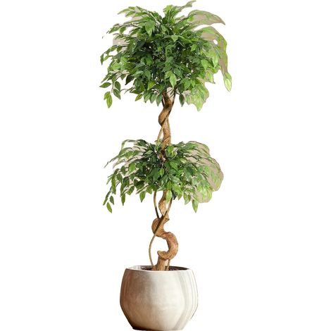Ficus artificial, 150 cm de altura, más de 1134 hojas, maceta elegante de 18 cm de diámetro, decoración de interior, ramas personalizables. (1/5)