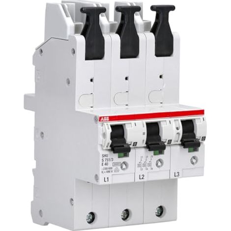 ABB Interruptor Modular 4 o 5 polos 40 A 230/400 V