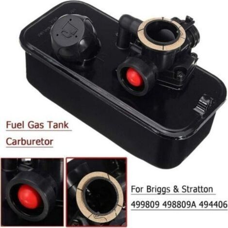 Carburateur - Pour Tondeuse à Essence - Compatible Modèles Briggs & Stratton 698369 699660 498811 794161 - Pièce de Rechange XU (1/5)
