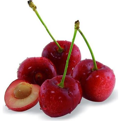 Cerisier nain Chérie Cherry (1/5)