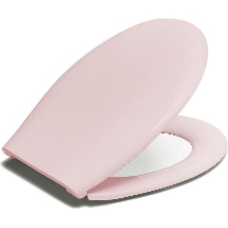 FPLUS tapa wc.alexia ii rosa ilusion(br) , Tapa WC sanitario Alexia.
Núcleo interior espumado y recubrimiento exterior de resina ABS. Bisagras plásticas universales. Adaptable a mo