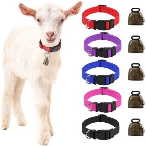 Un conjunto de 5 collares para cabras con cascabeles，adecuados para caballos y ovejas de pastoreo
