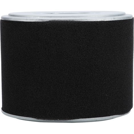 Ersatzluftfilter für Honda GX390 GX340 11 13 PS Rasenmäher (1/5)
