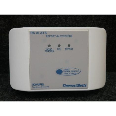 Report de synthèse pour alarme incendie Type 2b & alarme technique 164x110x63mm KAUFEL