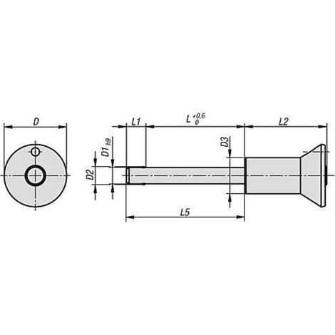 KIPP Kugelsperrbolzen mit Pilzgriff D1=16 L=80 Edelstahl komplett (1/2)