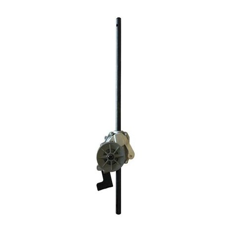 Trazione Rasaerba Leonardo 53S Sb 53S Honda