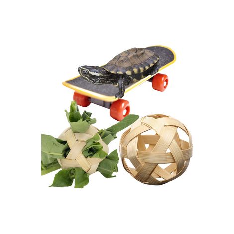 Lot de 3 kits de jeu pour tortue – Contient une mini planche à roulettes et 2 balles à friandises en bambou – Idéal pour l’activité physique et l’éveil de votre reptile de compagnie (1/5)