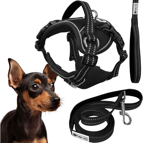TUTUMI HUNDELEINE UND GESCHIRR PJ-051 S BLACK