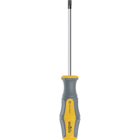 Tournevis Torx Chromé, 1579803003