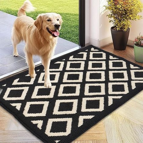 Door Mat Paillasson Exterieur Entree, 60x90cm Tapis de Porte avec Dos en TPE Durable et Antidérapant d'entrée Intérieur Lavable en Machine pour Chien, Chambre, Cuisine (1/5)