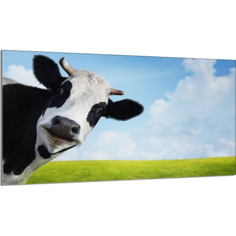 Plaque de protection en verre pour poêle 90x52 Cow (1/5)