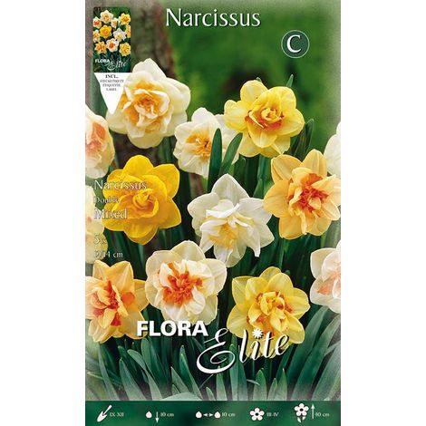 BULBI NARCISO DOUBLE MIX COLORI CONFEZIONE DA 5 BULBI BULBS BULBES