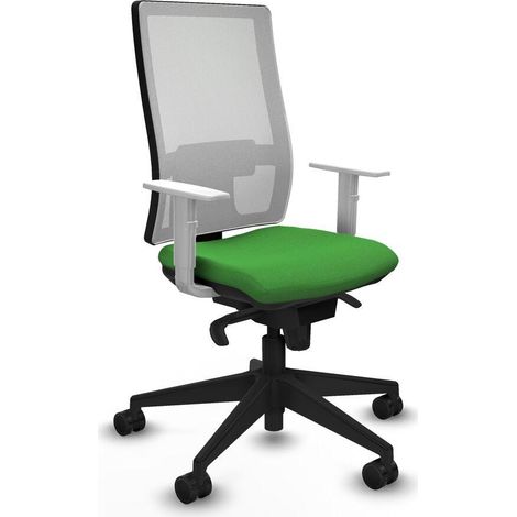 Piqueras y Crespo 4B066N0 Fauteuil de bureau vert ergonomique (1/3)
