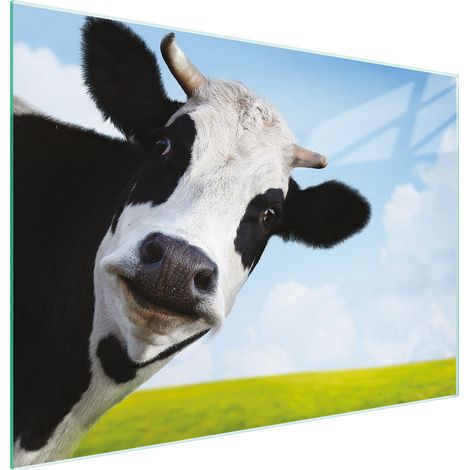 TAGLIERE IN VETRO 30x22 MUCCA (1/5)