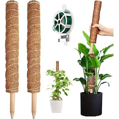 Pflanzenstütze, 2 Stück, 41 cm lange Kokosnuss-Kletterstützen für Monstera, Haus & Garten, mit Drehmechanismus, 20 Meter, Stütze für Pflanzen – 41 cm (1/5)