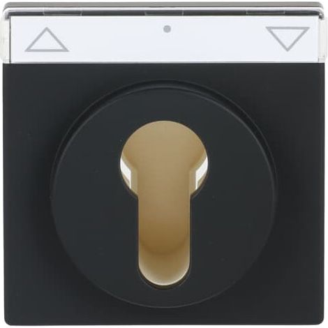 Busch-Jaeger Plaque centrale avec impression Symbole "Flèches" ou "0 - 1" pour volet, interrupteur à clé noir mat - Plateforme 63 (1755 SL/PZ-885-101), 2CKA001710A3902