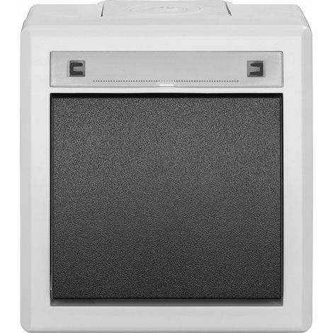 Interrupteur universel 5001-10 - Gris - IP55 - Étanche - Construction robuste - Design moderne (1/4)
